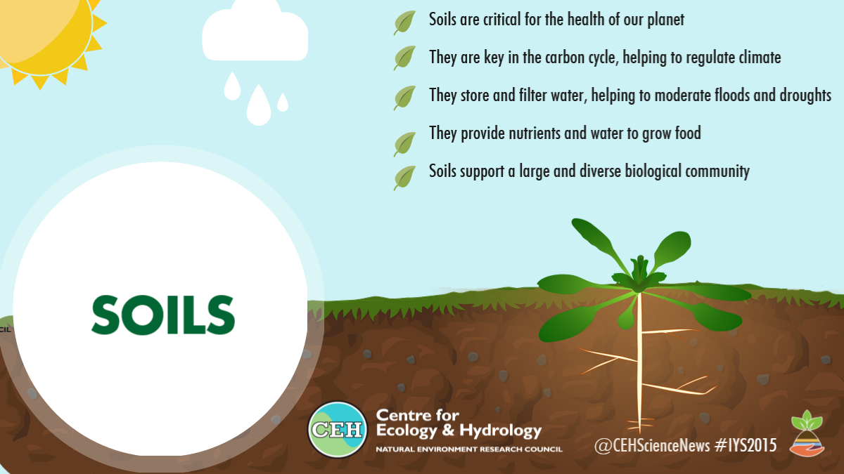 International Year Of Soils 2015 CEH